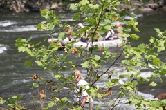 img_1083_26767722204_o
